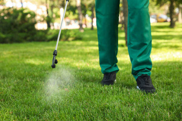 Best Best Pest Control Companies  in Diamond Springs, CA
